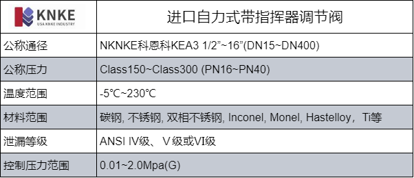 进口自力式带指挥器调节阀(图1) image.png