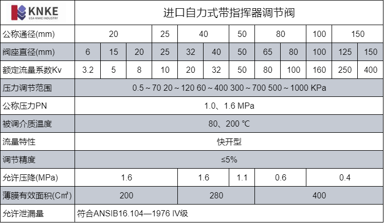 进口自力式带指挥器调节阀(图2) image.png